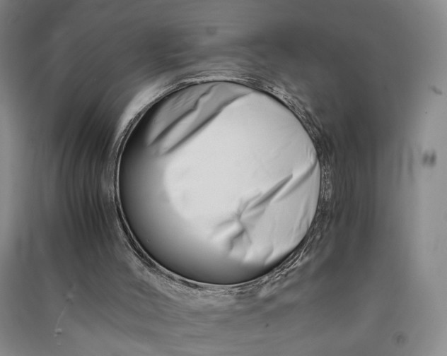 X0000090880004200708171654