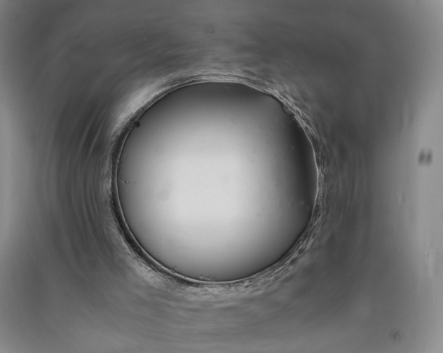 X0000090880005200708171654