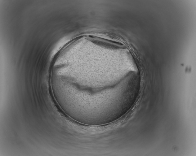 X0000090880006200708171654