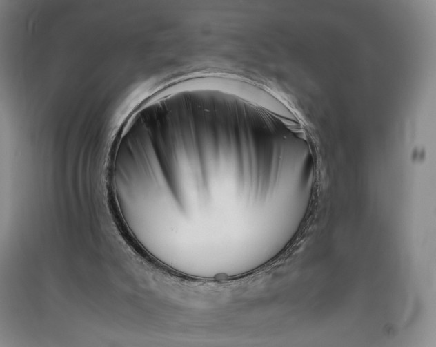 X0000090880007200708171654