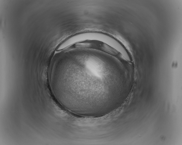 X0000090880009200708171654