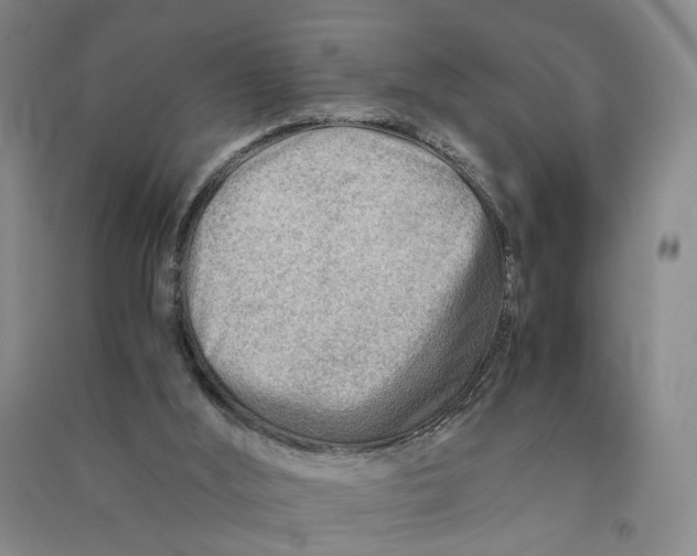 X0000090880012200708171654