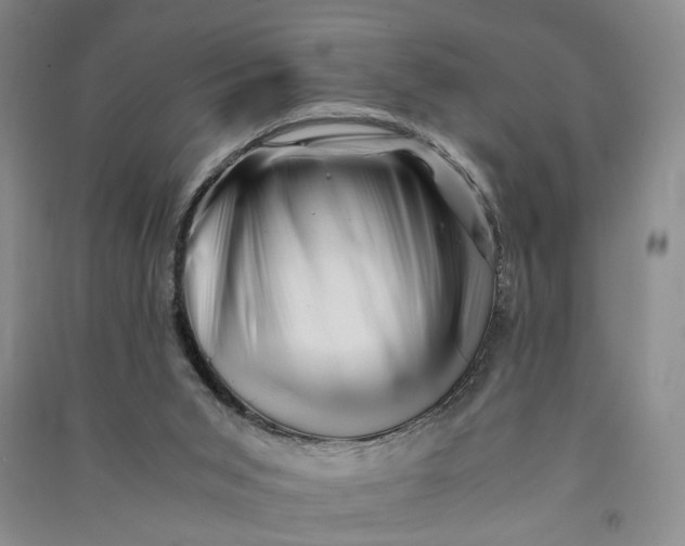 X0000090880015200708171654