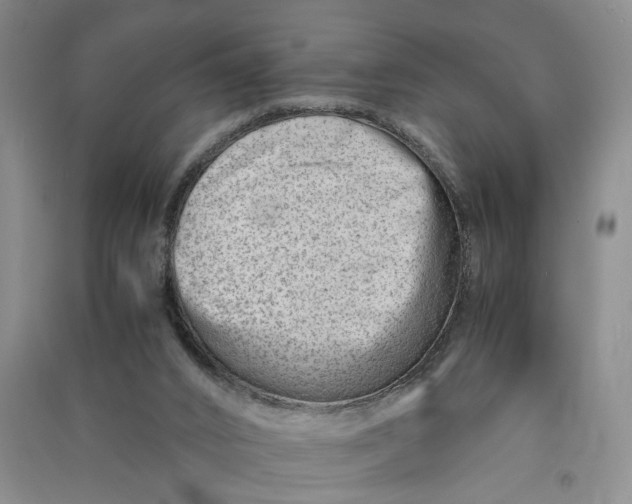 X0000090880016200708171654