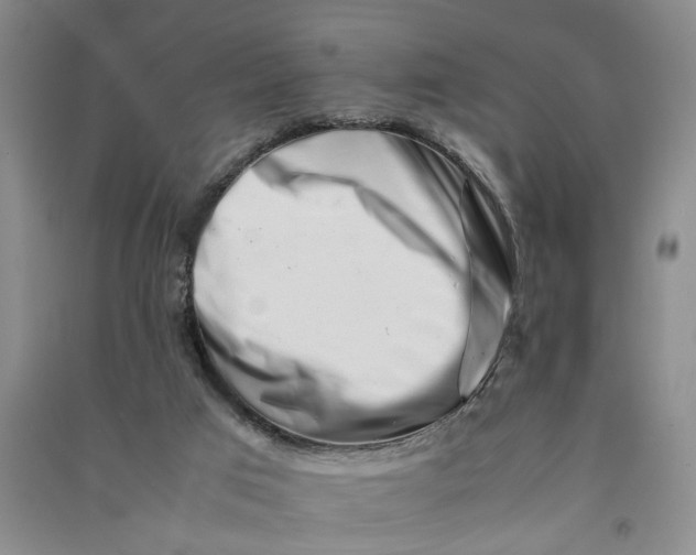 X0000090880017200708171654