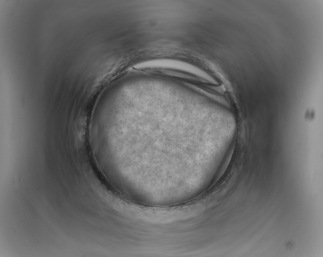 X0000090880018200708171654