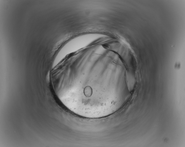 X0000090880019200708171654