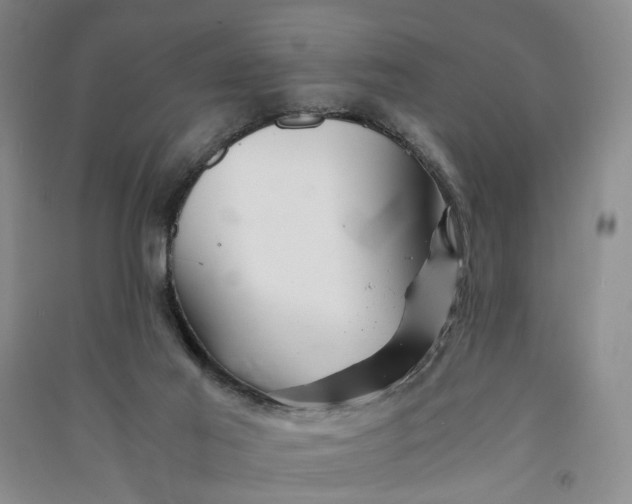 X0000090880021200708171654