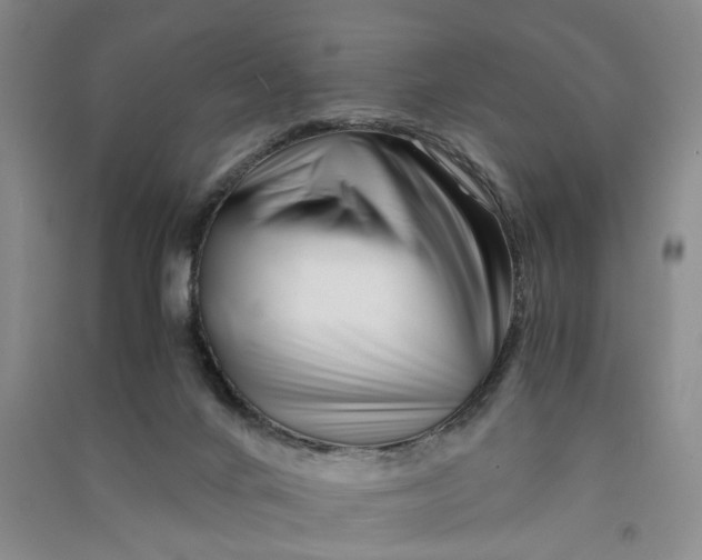 X0000090880024200708171654