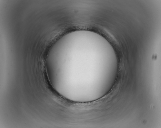 X0000090880025200708171654