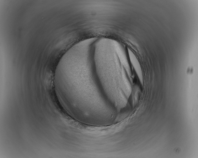 X0000090880029200708171654