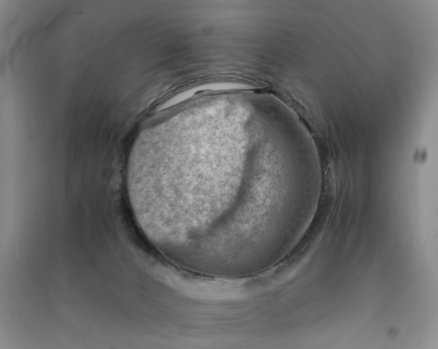 X0000090880032200708171654