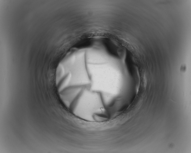 X0000090880034200708171654