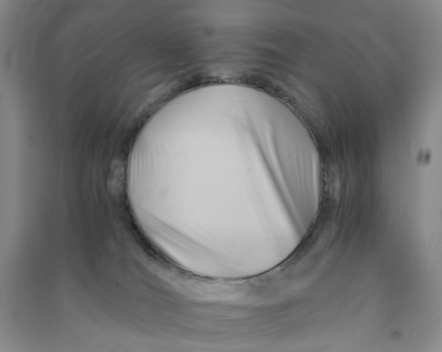 X0000090880036200708171654