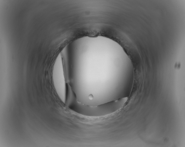 X0000090880037200708171654