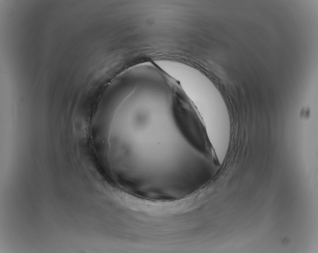 X0000090880039200708171654