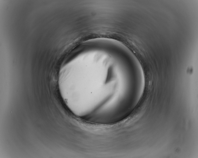 X0000090880040200708171654