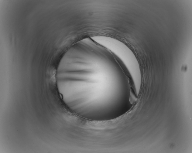 X0000090880041200708171654