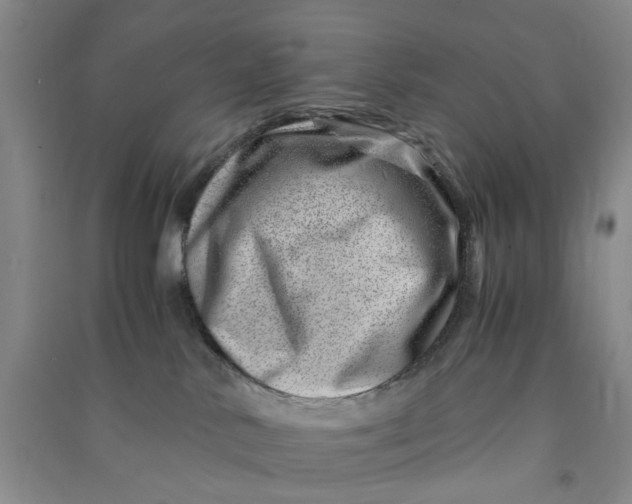 X0000090880042200708171654