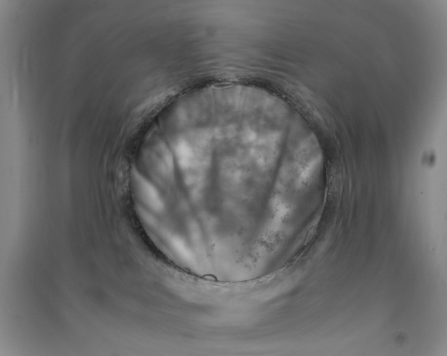 X0000090880043200708171654