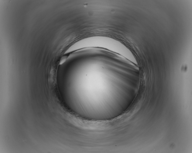 X0000090880044200708171654