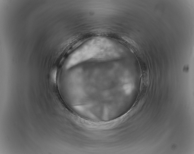 X0000090880047200708171654