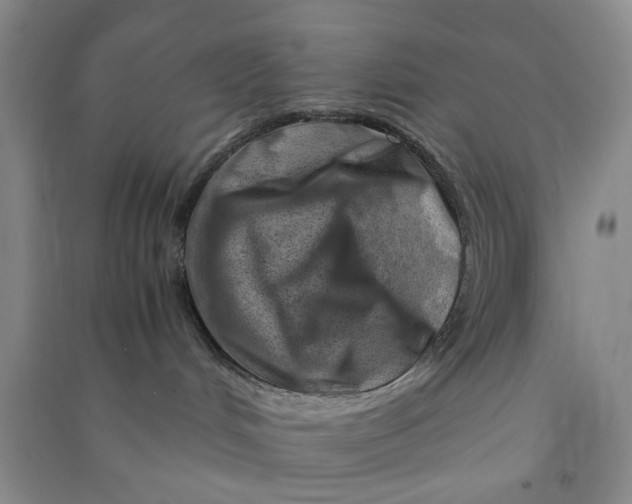 X0000090880048200708171654