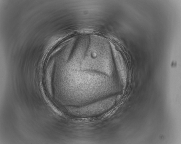 X0000090880049200708171653