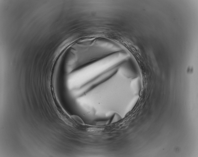 X0000090880051200708171653