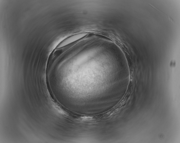 X0000090880052200708171653