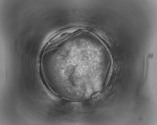 X0000090880053200708171653