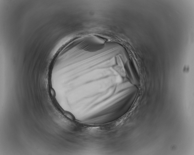 X0000090880054200708171653