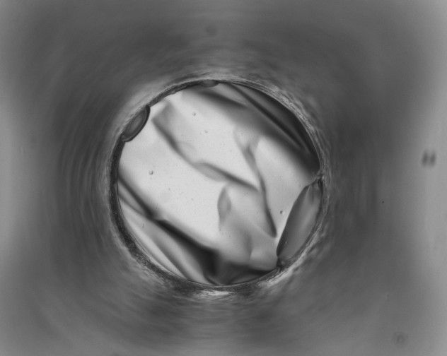 X0000090880055200708171653