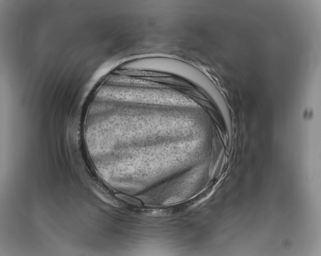 X0000090880056200708171653