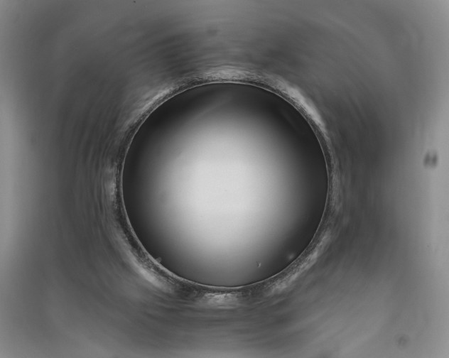 X0000090880057200708171653