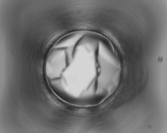 X0000090880058200708171653