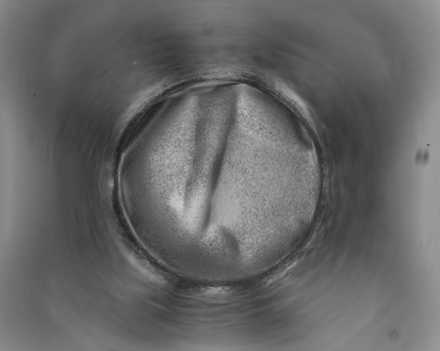 X0000090880059200708171653