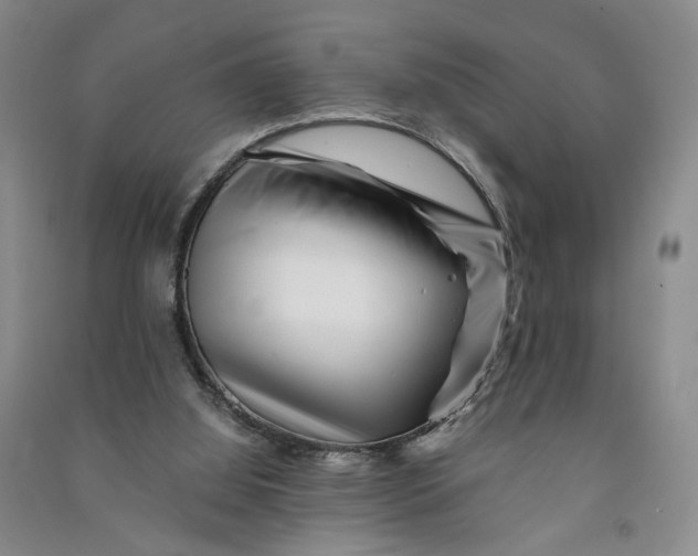 X0000090880060200708171653