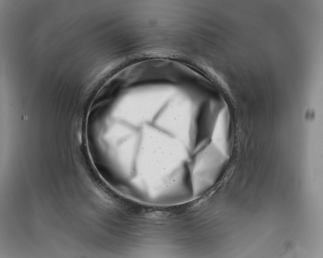 X0000090880062200708171653