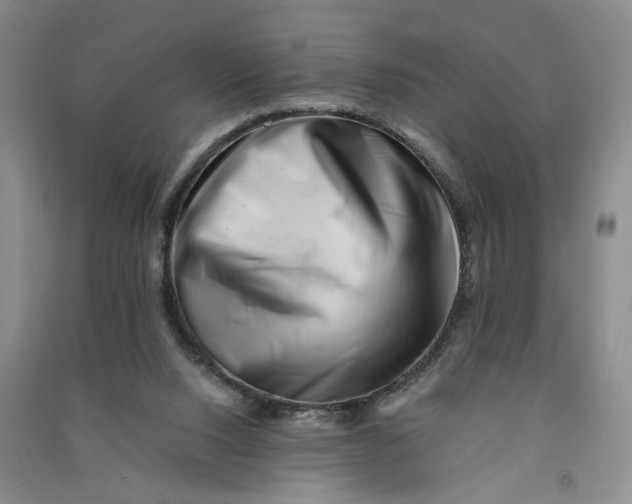 X0000090880064200708171653