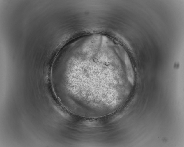 X0000090880065200708171654