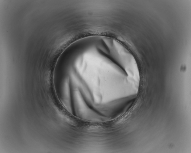 X0000090880066200708171654