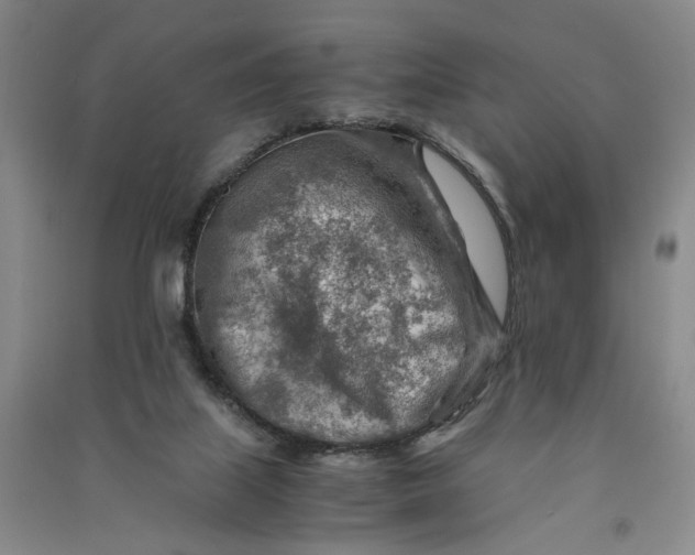 X0000090880067200708171654