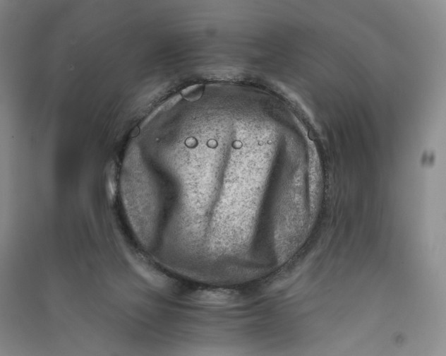 X0000090880069200708171654