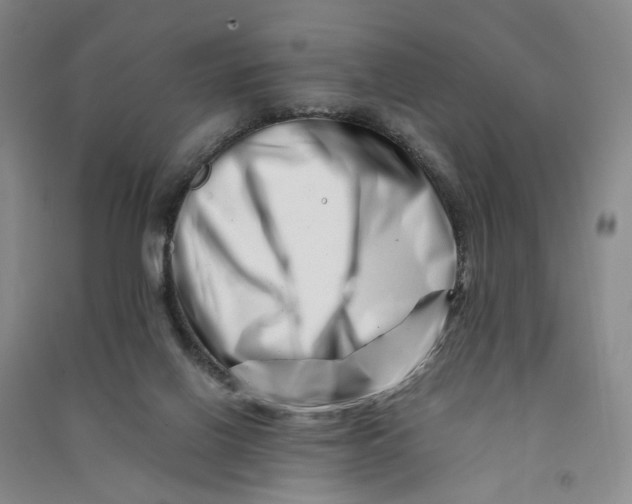 X0000090880070200708171654