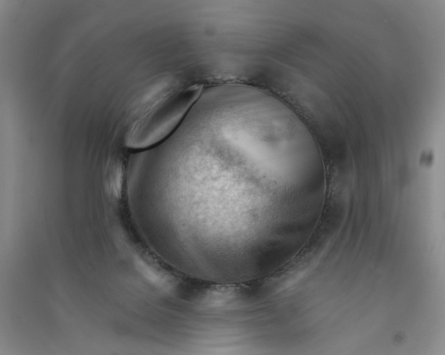 X0000090880076200708171654