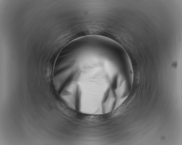 X0000090880082200708171654