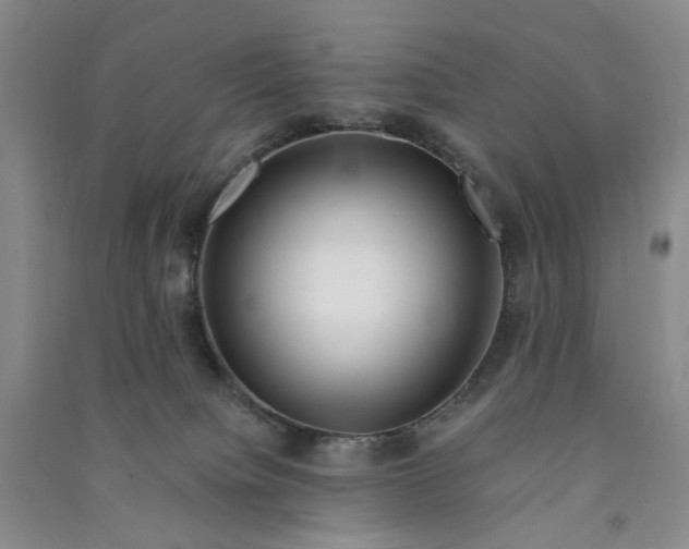 X0000090880084200708171654