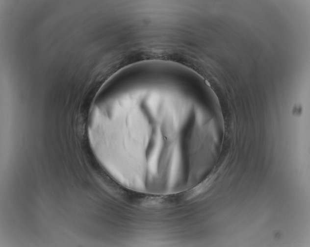 X0000090880086200708171654