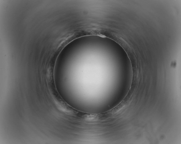 X0000090880088200708171654